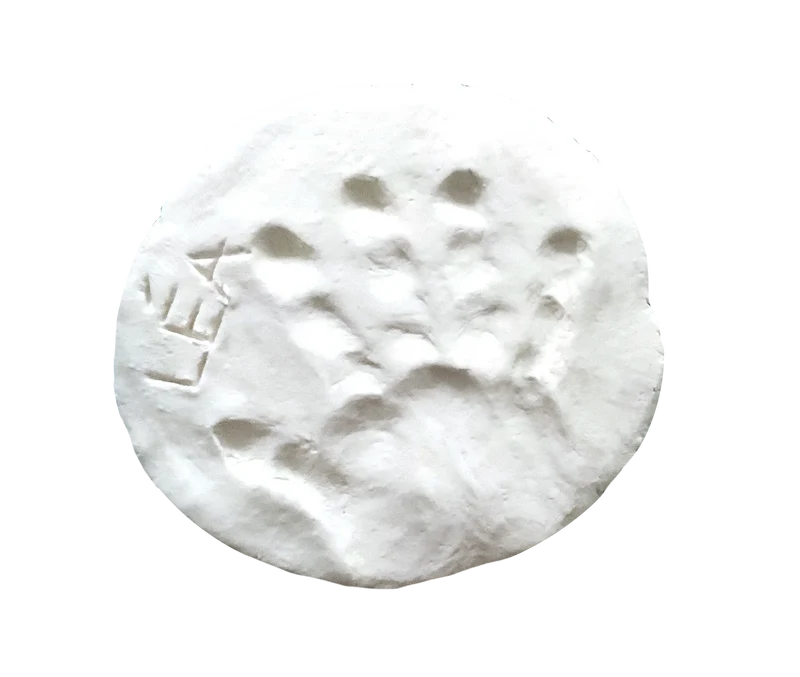 Kit Empreinte Bébé en Pâte autodurcissante - naissance+