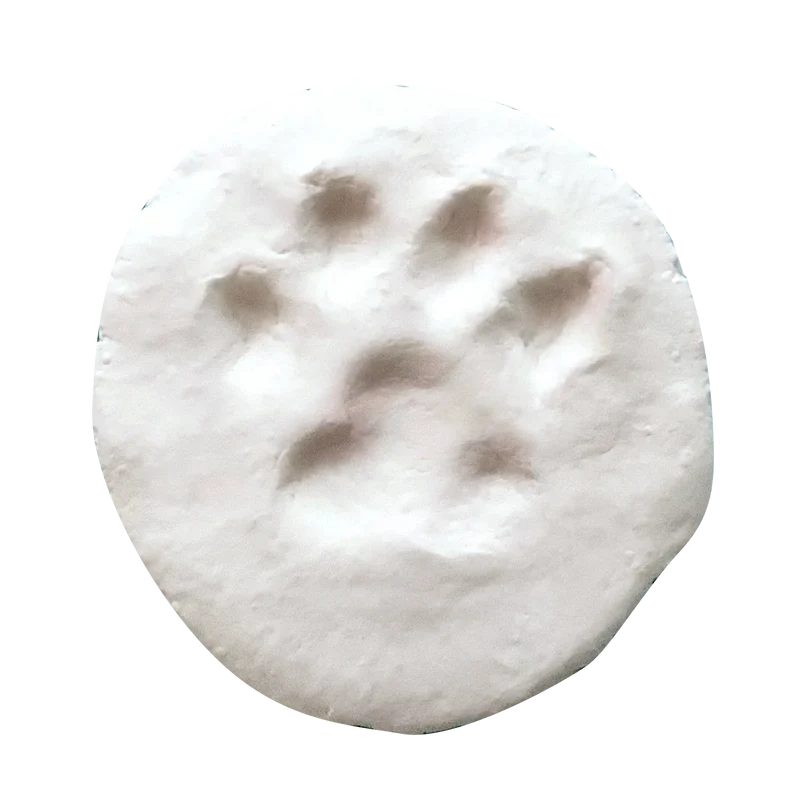 Kit Empreinte Bébé en Pâte autodurcissante - naissance+