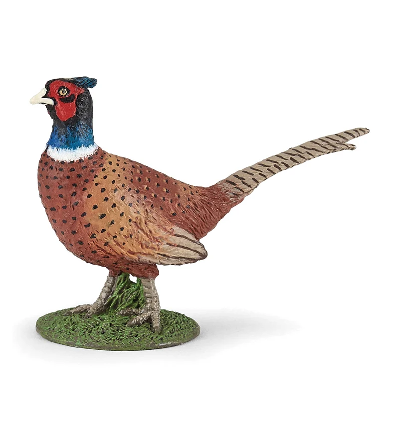 Papo - Figurine Faisan - 2 ans +