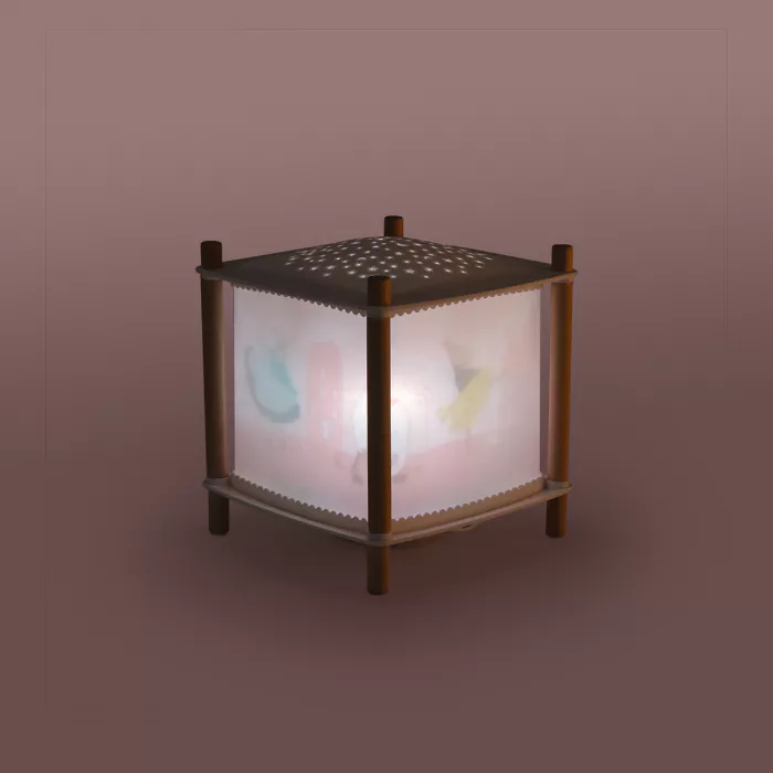 Moulin Roty - La petite école de danse - Lanterne magique - Rêvolution 2.0 - 👶Naissance+