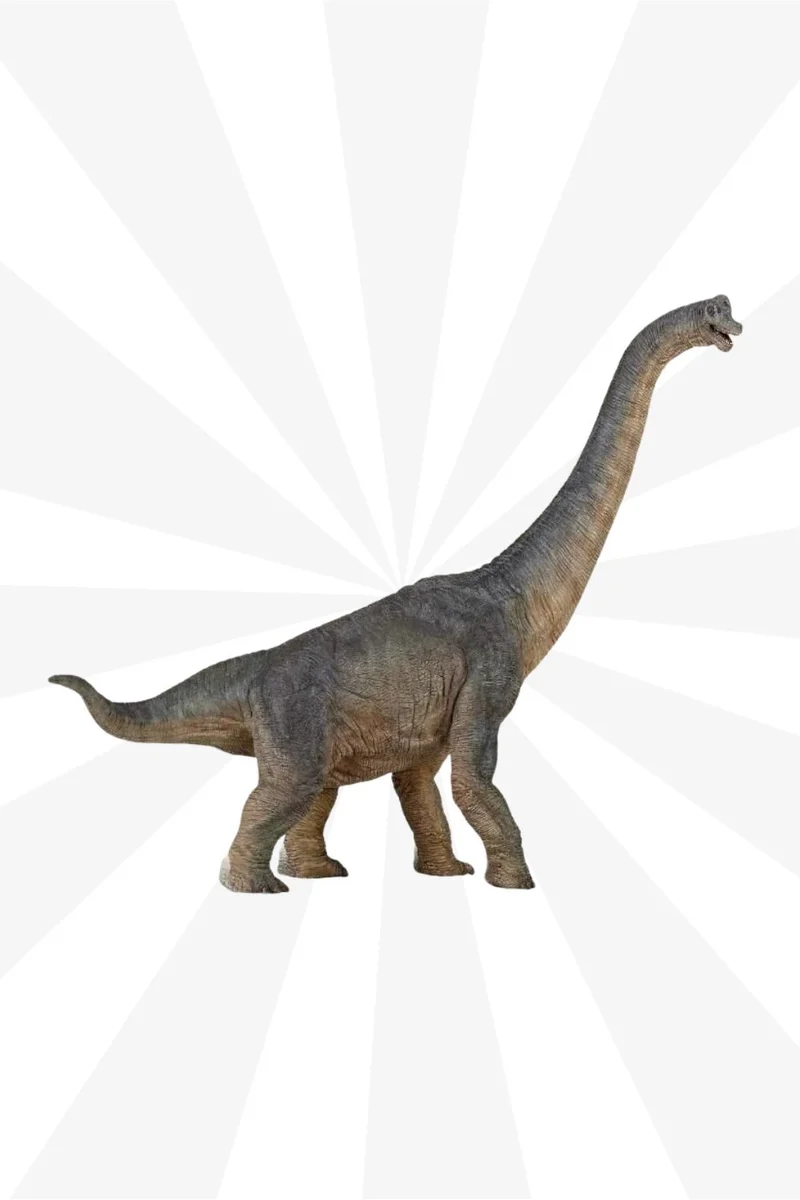 Papo - brachiosaure - figurine - 🧒3 ans+