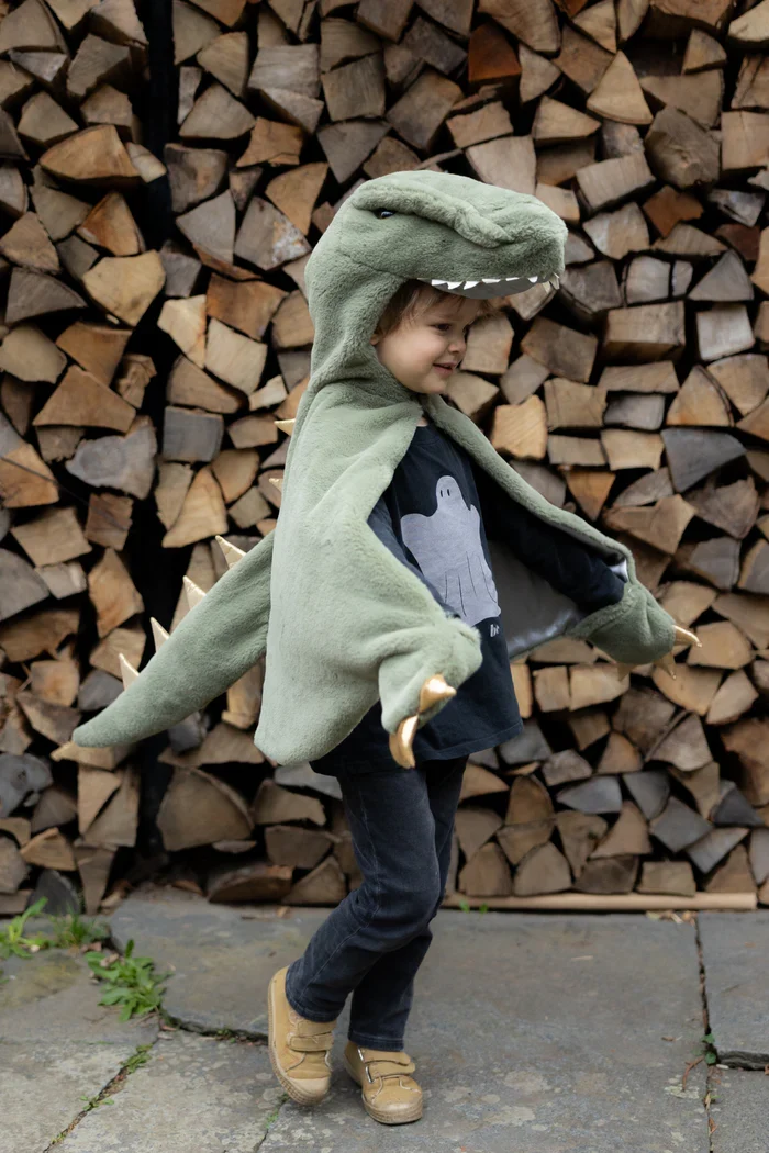 Cape T rex douillette- 2/3/4 ans