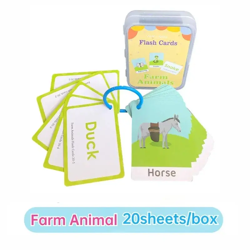 Cartes Éducatives en Anglais pour Enfants - Set de Cartes d'Apprentissage Cognitif
