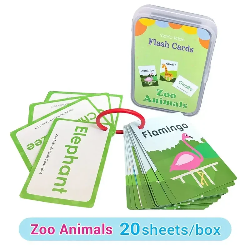 Cartes Éducatives en Anglais pour Enfants - Set de Cartes d'Apprentissage Cognitif