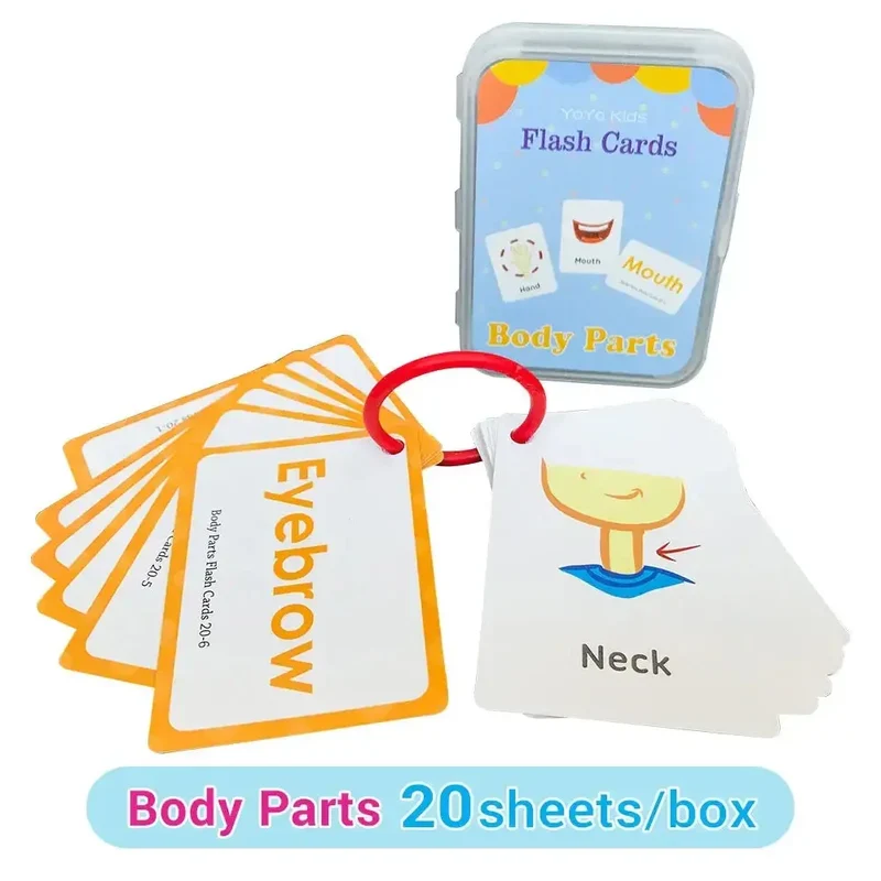 Cartes Éducatives en Anglais pour Enfants - Set de Cartes d'Apprentissage Cognitif