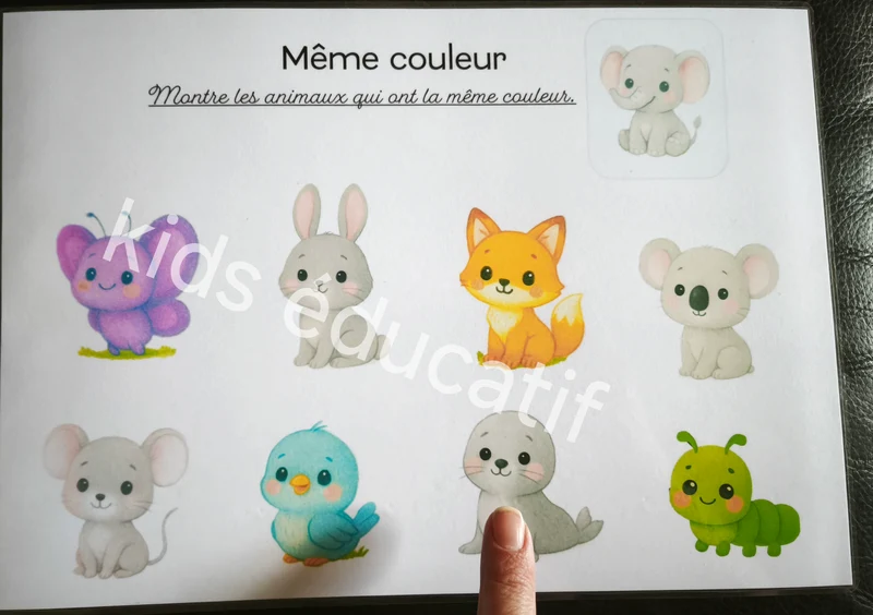 j'apprends les couleurs avec les animaux, dès 18 mois