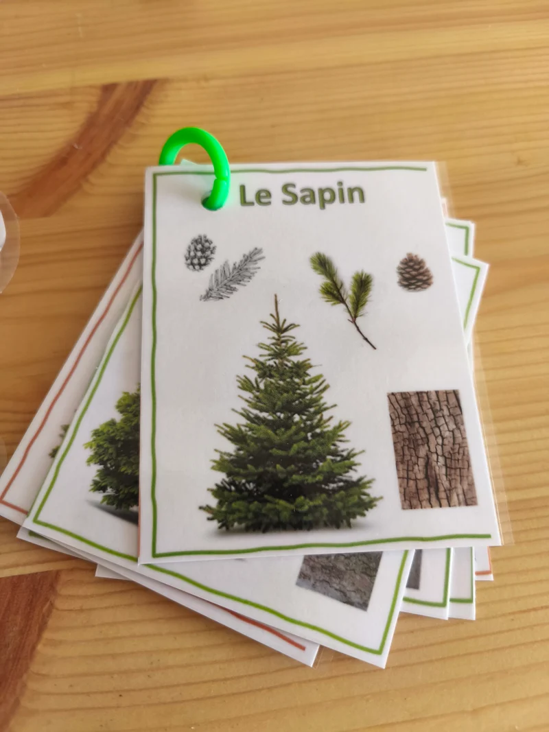 🌿 Fleurs & végétaux 3-5 ans - Matériel inclus