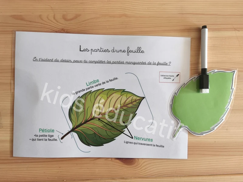🌿 Fleurs & végétaux 3-5 ans - Matériel inclus