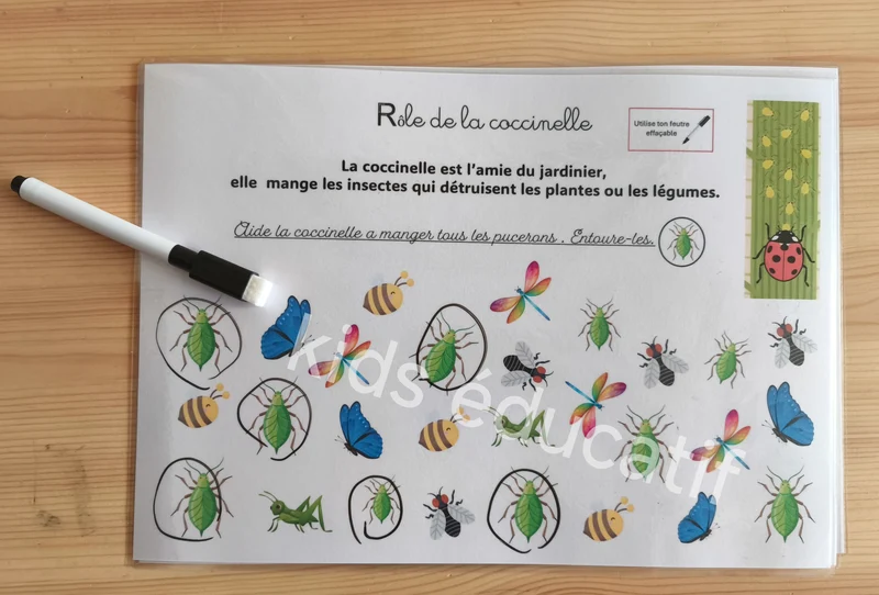 🌿 Fleurs & végétaux 3-5 ans - Matériel inclus