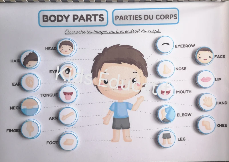 Apprentissage de l'anglais, livret multi-activités.