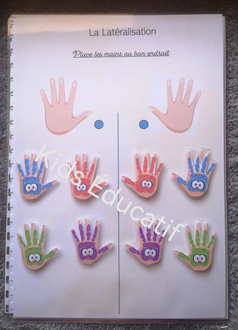 Mes petites mains "corps humain" - cahier d'activités 5-6 ans