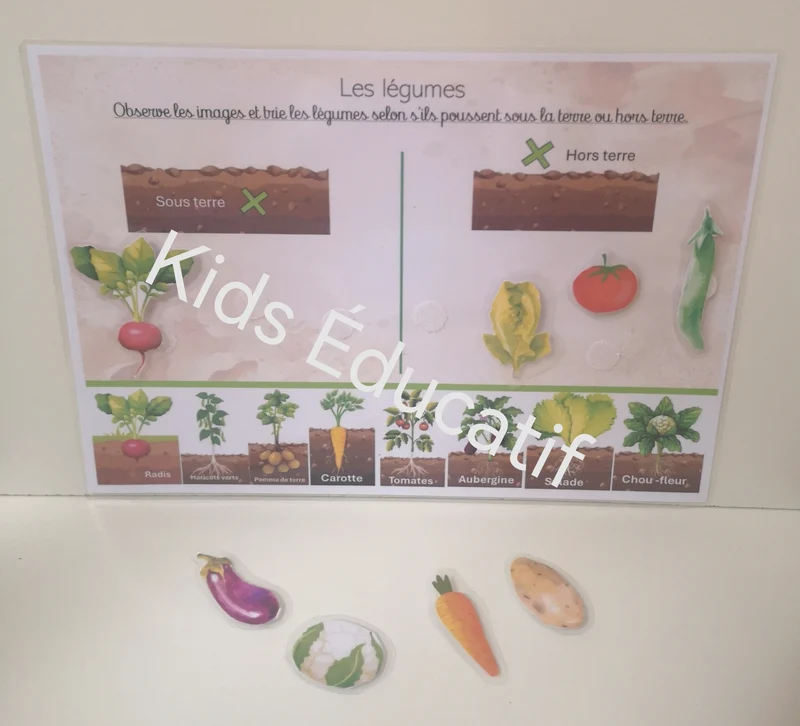 🌸 Printemps 5-6 ans | Matériel inclus
