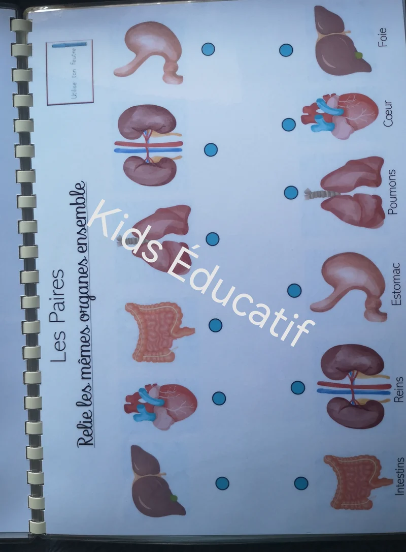Mes petites mains" corps humain"- cahier d'activités 3-4 ans