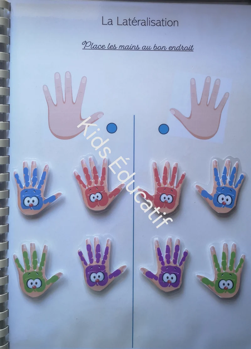 Mes petites mains" corps humain"- cahier d'activités 3-4 ans