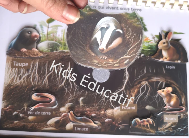 Livret les animaux du monde, vocabulaires, 3-6 ans