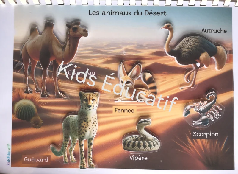 Livret les animaux du monde, vocabulaires, 3-6 ans