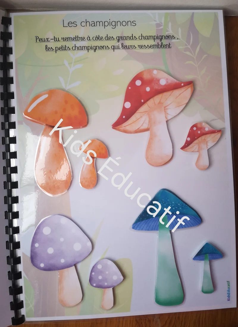Animaux de la forêt 3-4 ans – Livret éducatif avec activités de manipulation