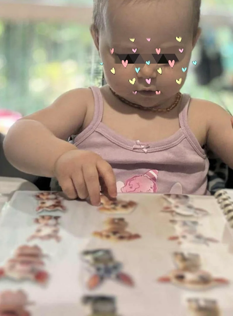 Animaux de la forêt 3-4 ans – Livret éducatif avec activités de manipulation