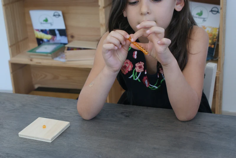 Système Décimal Montessori
