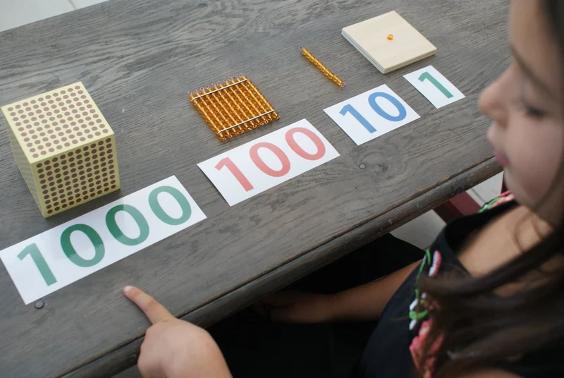 Système Décimal Montessori