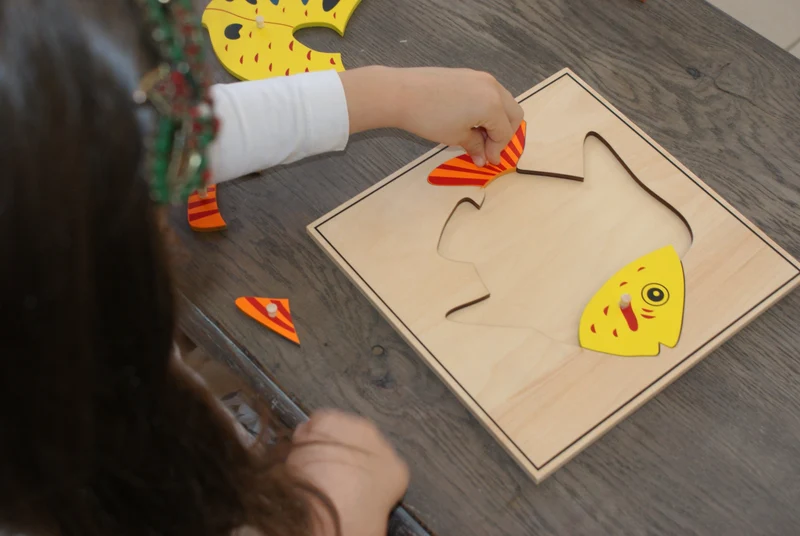 Puzzle du Poisson Montessori - Zoologie