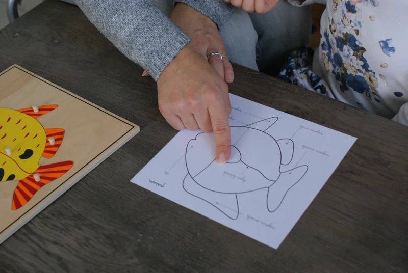 Puzzle du Poisson Montessori - Zoologie