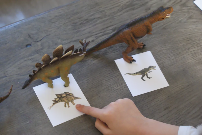 Les dinosaures Montessori