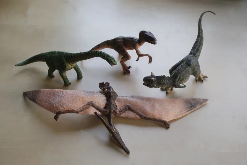 Les dinosaures Montessori