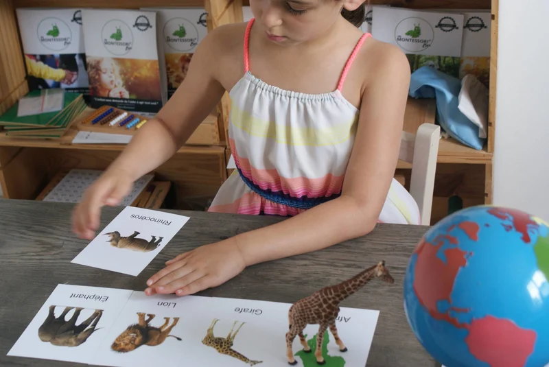 Animaux du Monde Montessori