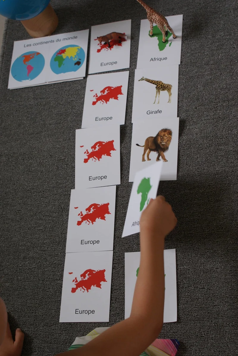 Animaux du Monde Montessori