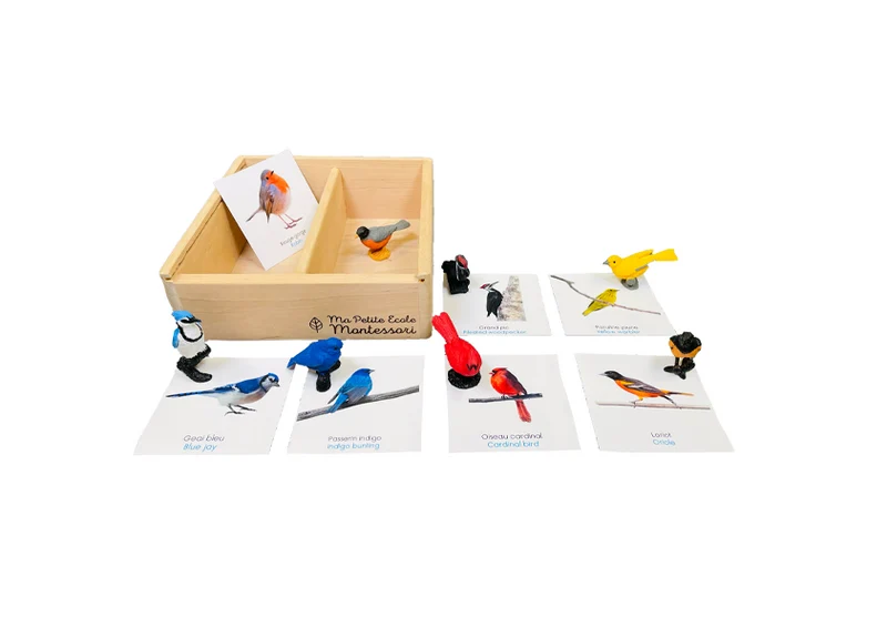 Coffret figurines les oiseaux