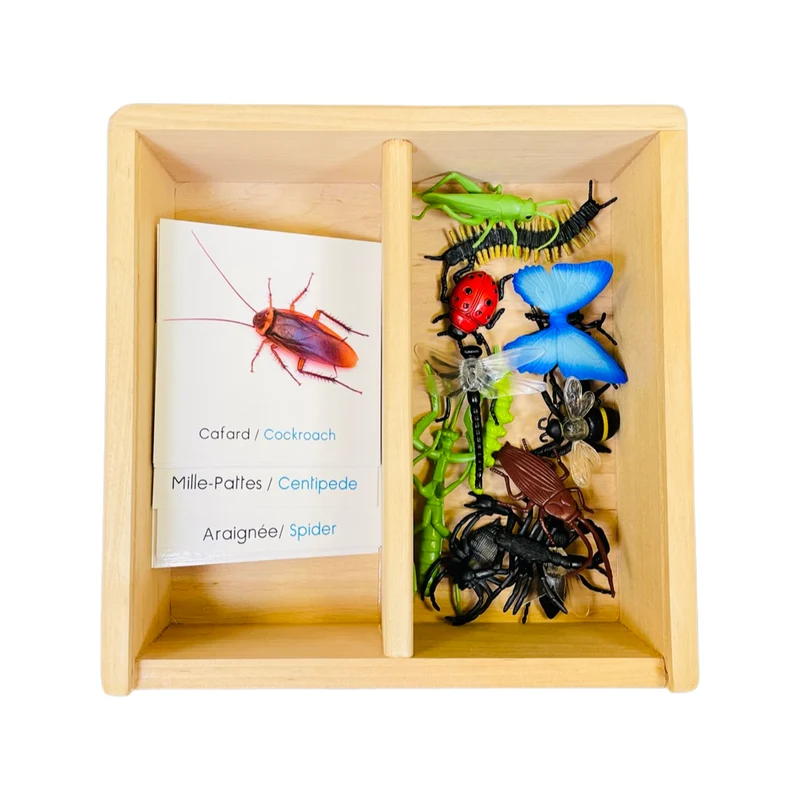 Coffret figurines les insectes