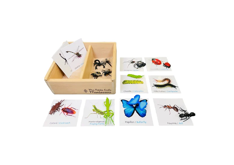 Coffret figurines les insectes