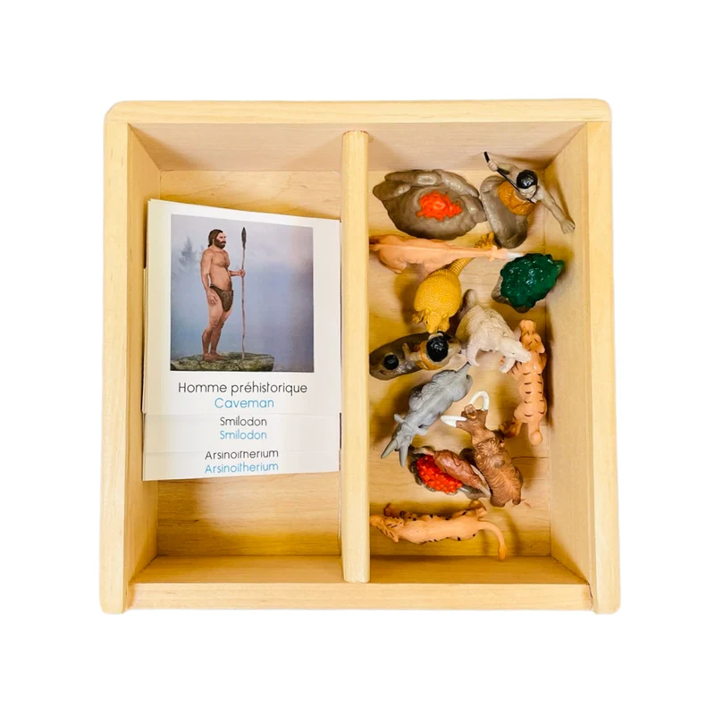 Coffret figurines la Préhistoire