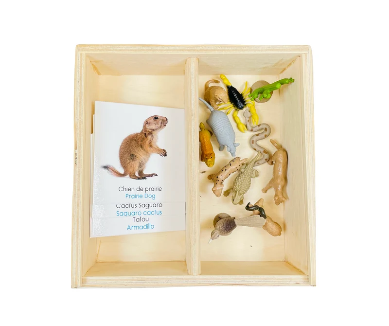 Coffret figurines le désert