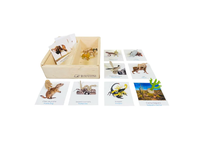Coffret figurines le désert