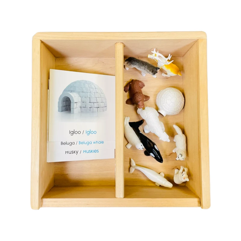 Coffret figurines l'Arctique