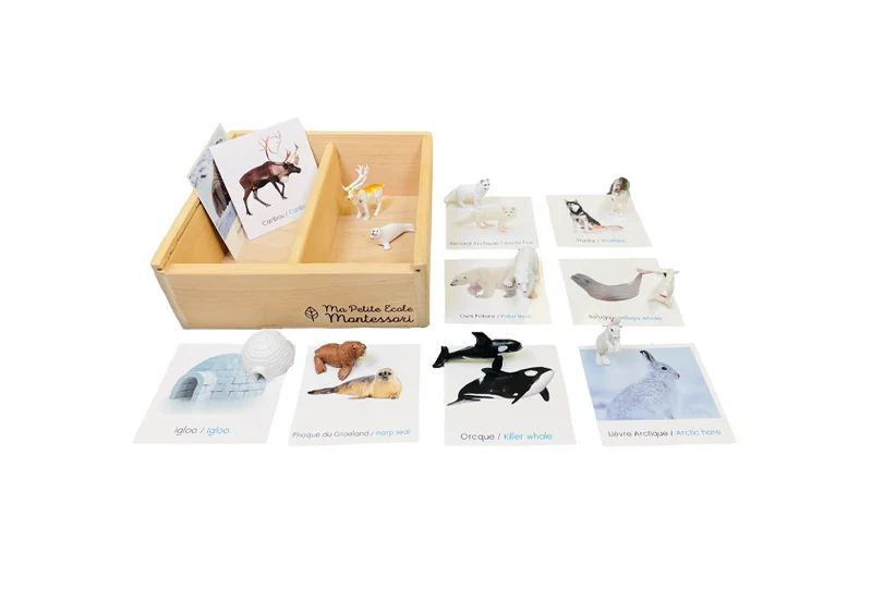 Coffret figurines l'Arctique