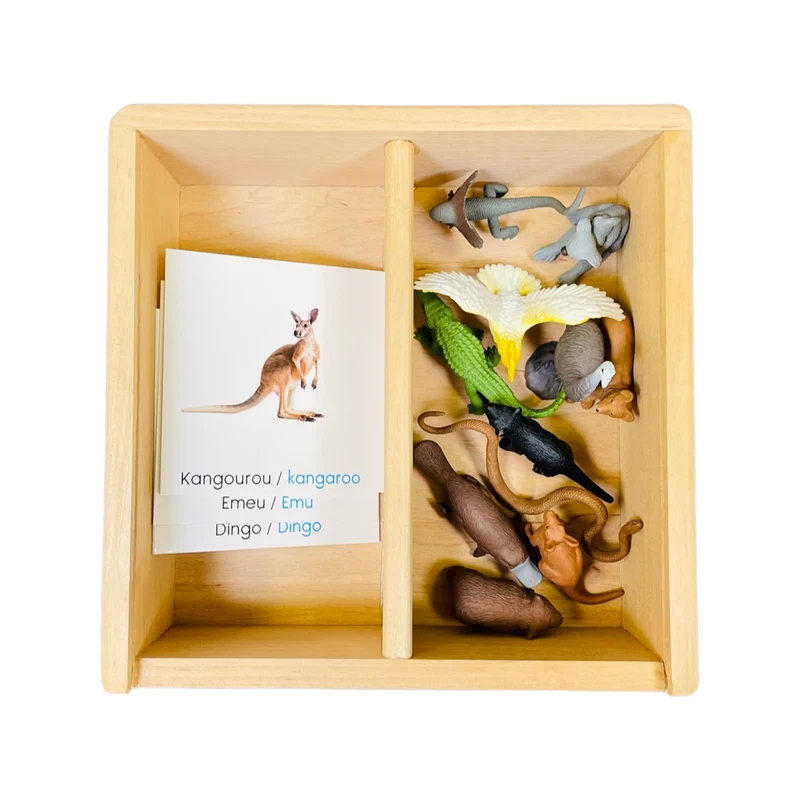 Coffret figurines l'Australie