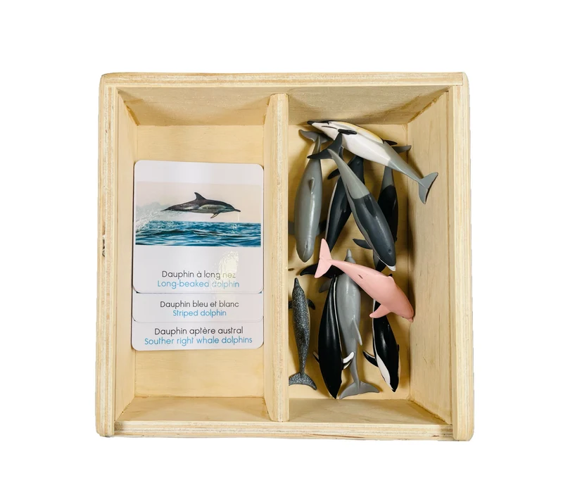 Coffret figurines les dauphins
