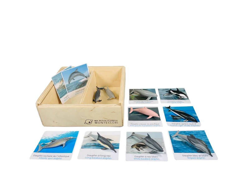 Coffret figurines les dauphins