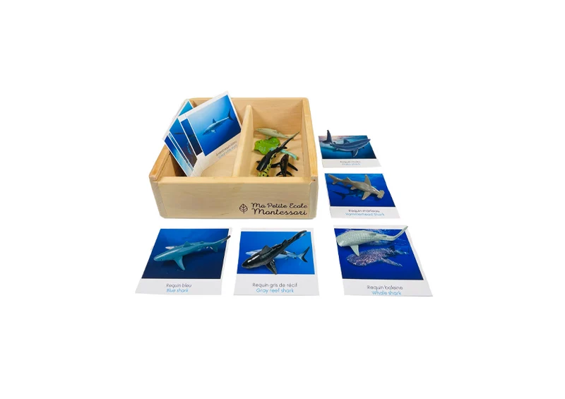 Coffret figurines les requins