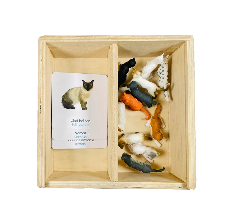 Coffret figurines les chats