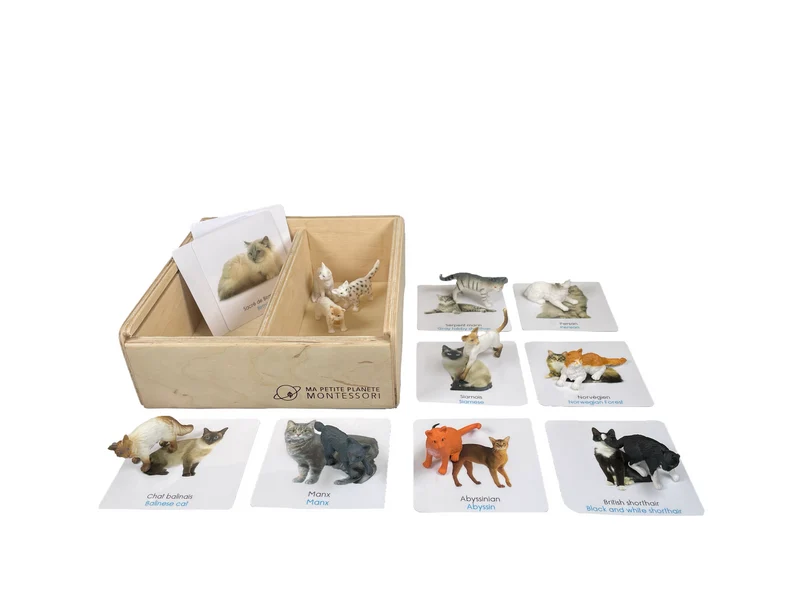 Coffret figurines les chats