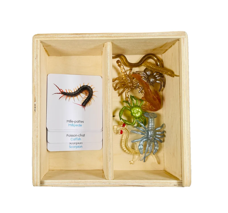 Coffret figurines des habitants de la grotte
