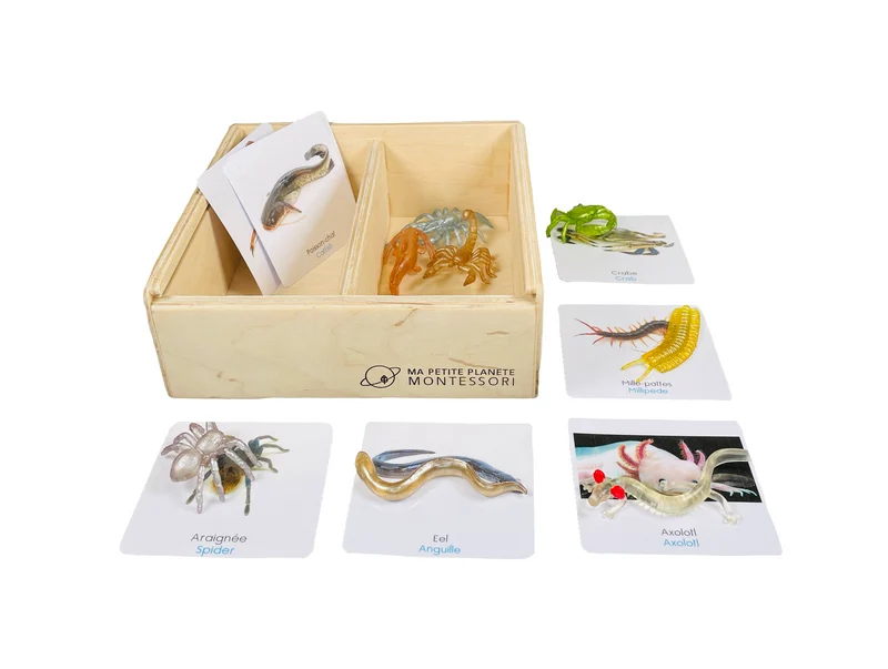 Coffret figurines des habitants de la grotte