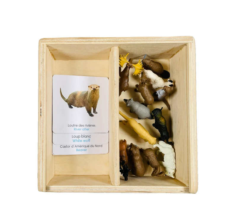 Coffret figurines les animaux d'Amérique du Nord