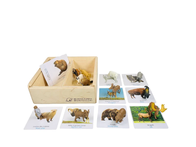 Coffret figurines les animaux d'Amérique du Nord