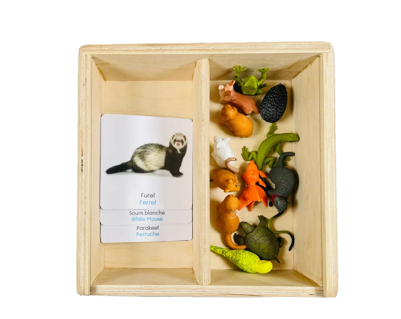 Coffret figurines les animaux de compagnie