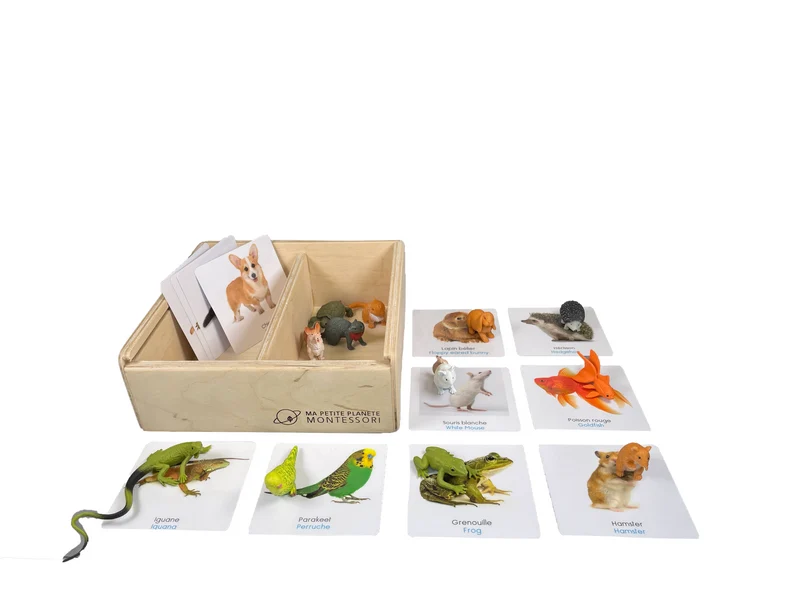 Coffret figurines les animaux de compagnie